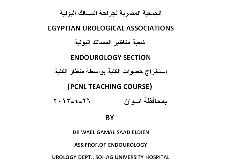 4 - ASWAN - PCNL teaching course  (26-4-2013)